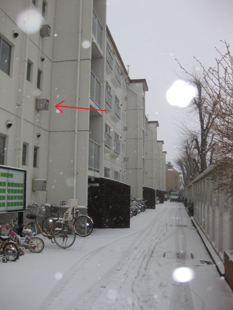 外観